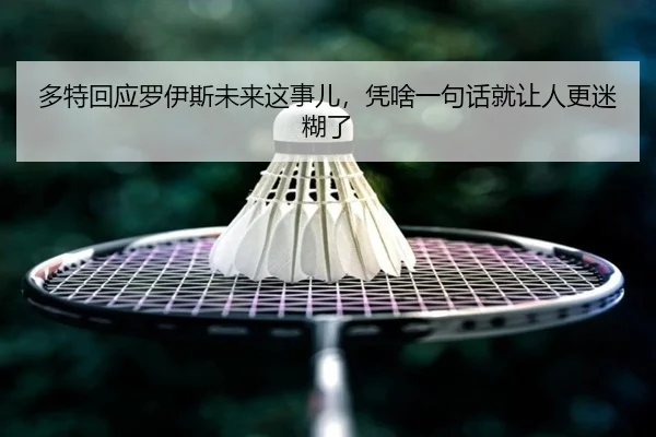 多特回应罗伊斯未来这事儿，凭啥一句话就让人更迷糊了